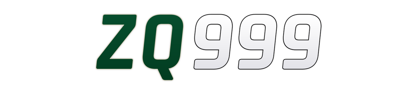 zq999